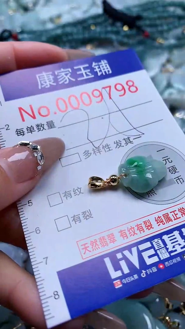 翡翠未镶嵌吊坠(不含链)9798