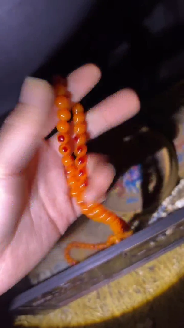 琪琪专属精品链接