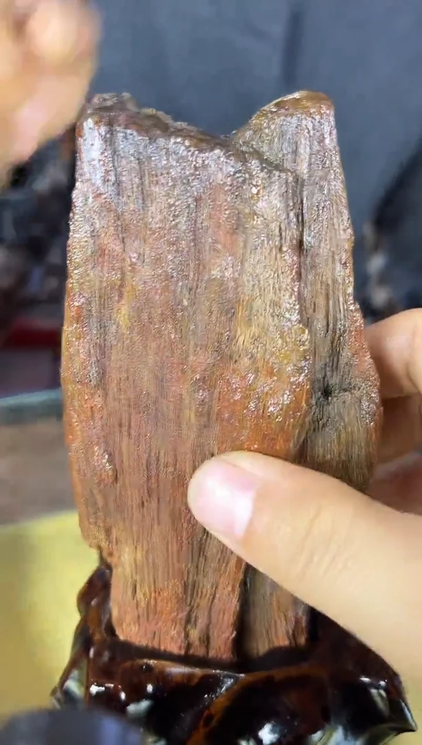 缅甸天然树化玉精品摆件