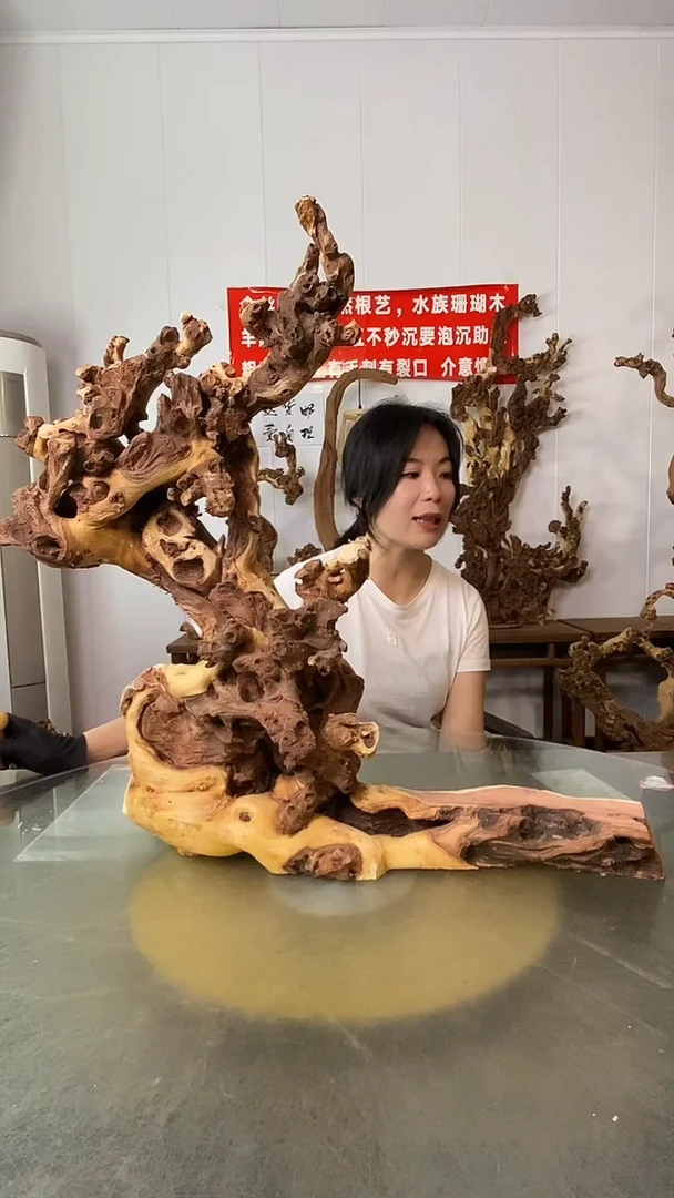 香榧木长**浪金丝红木 羊蹄甲