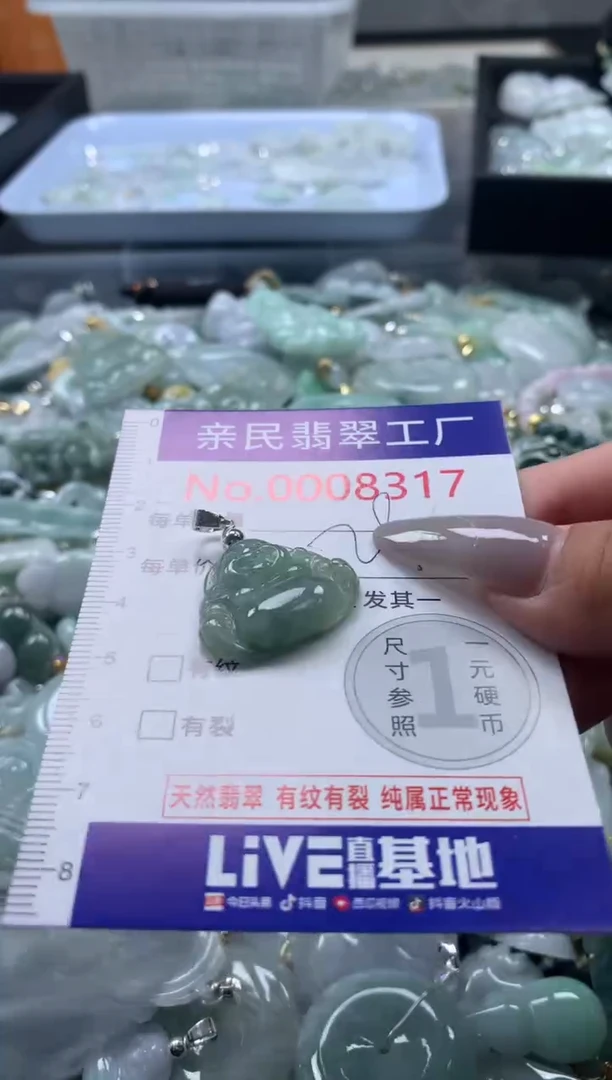 颈饰未镶嵌翡翠8317
