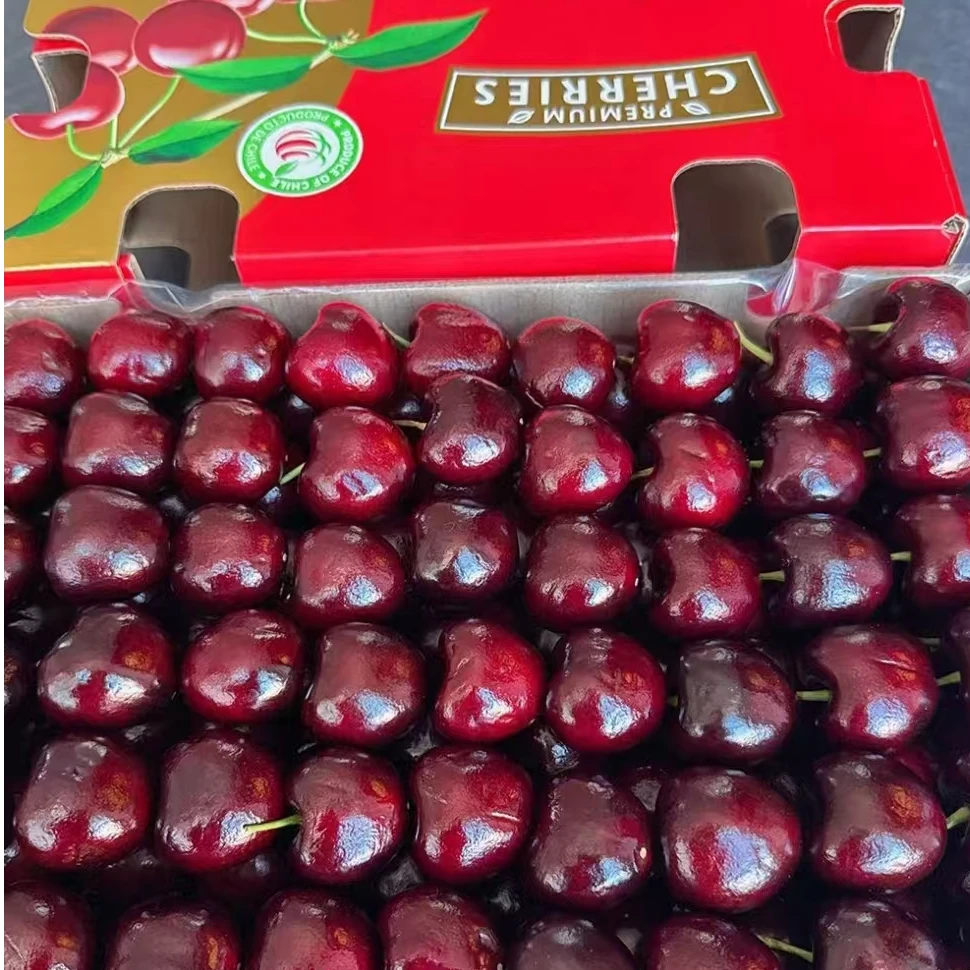 原箱5斤拉宾斯智利车厘子【XR】海运孕妇新鲜水果2J~4JD 内附果径卡