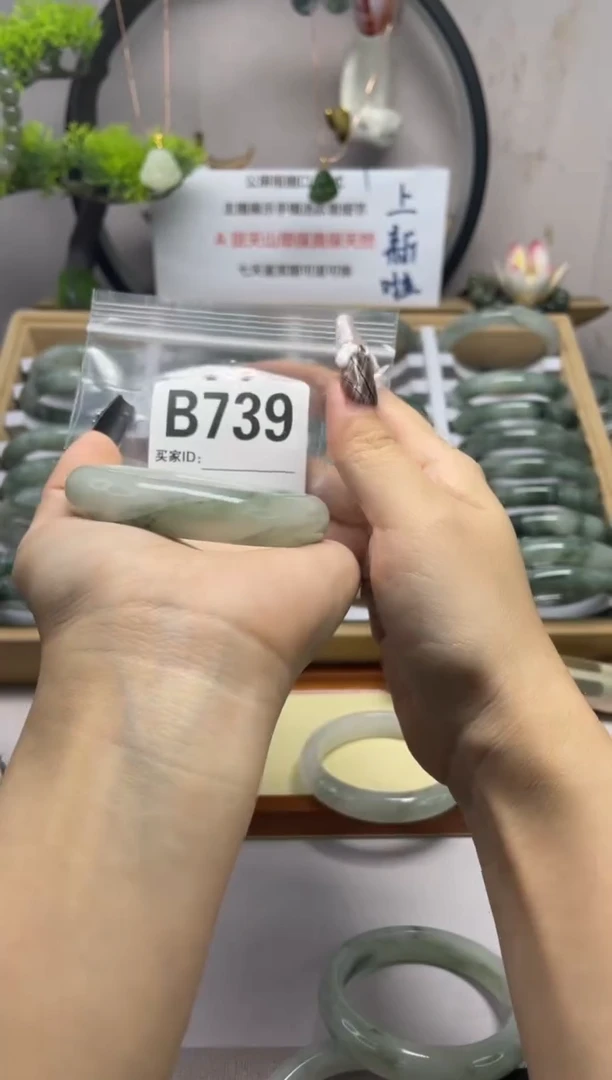 【闪购商品】石英质玉（天山翠）手镯未镶嵌b739