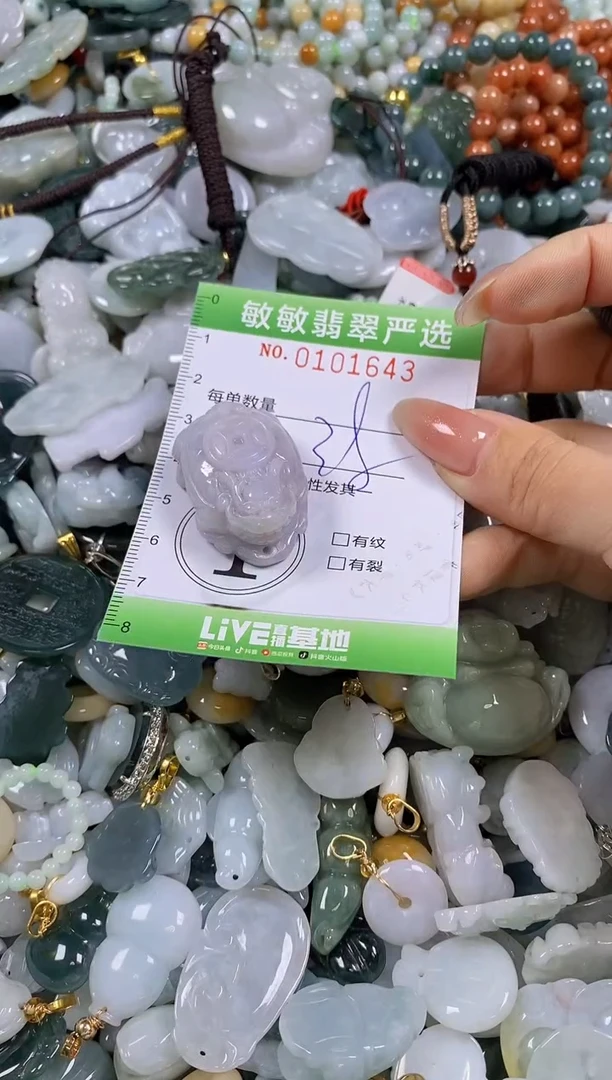 【闪购商品】翡翠颈饰未镶嵌闪购链接0101643