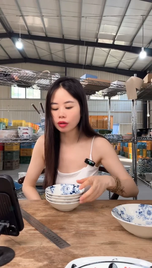 瓷        742号4只13.5*4