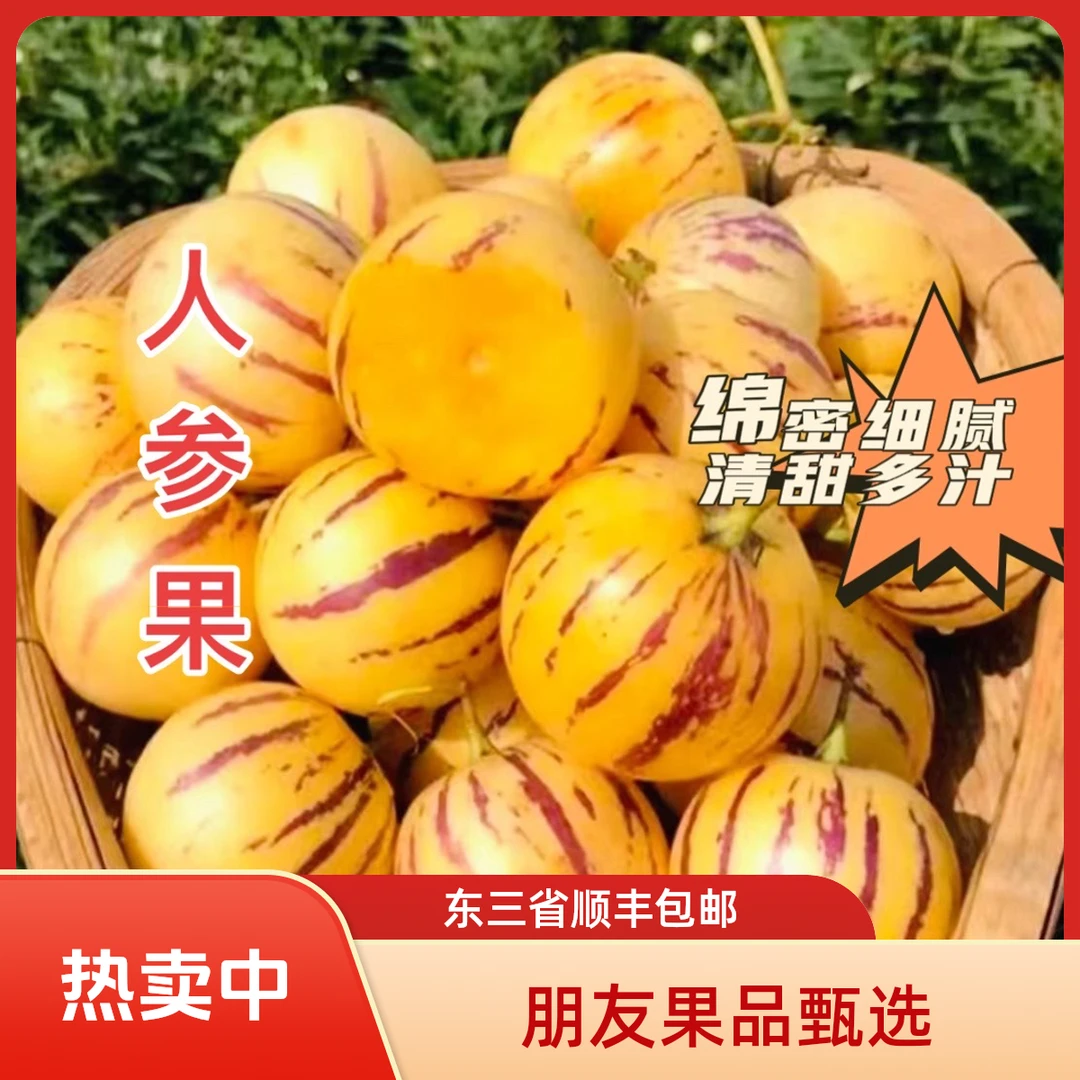 【人参果果王净2.5斤5-6粒左右】东三省顺丰包邮新鲜