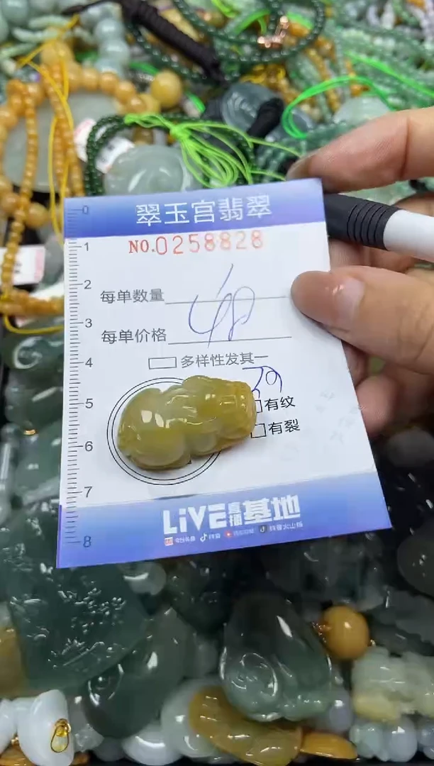 颈饰未镶嵌翡翠闪购C0258828