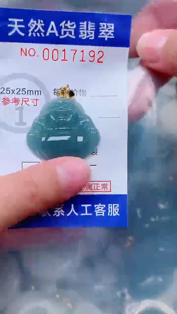 吊坠(不含链)未镶嵌翡翠1