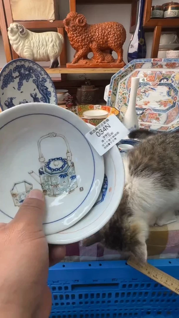 A*猫034啊啊啊啊啊啊啊啊啊