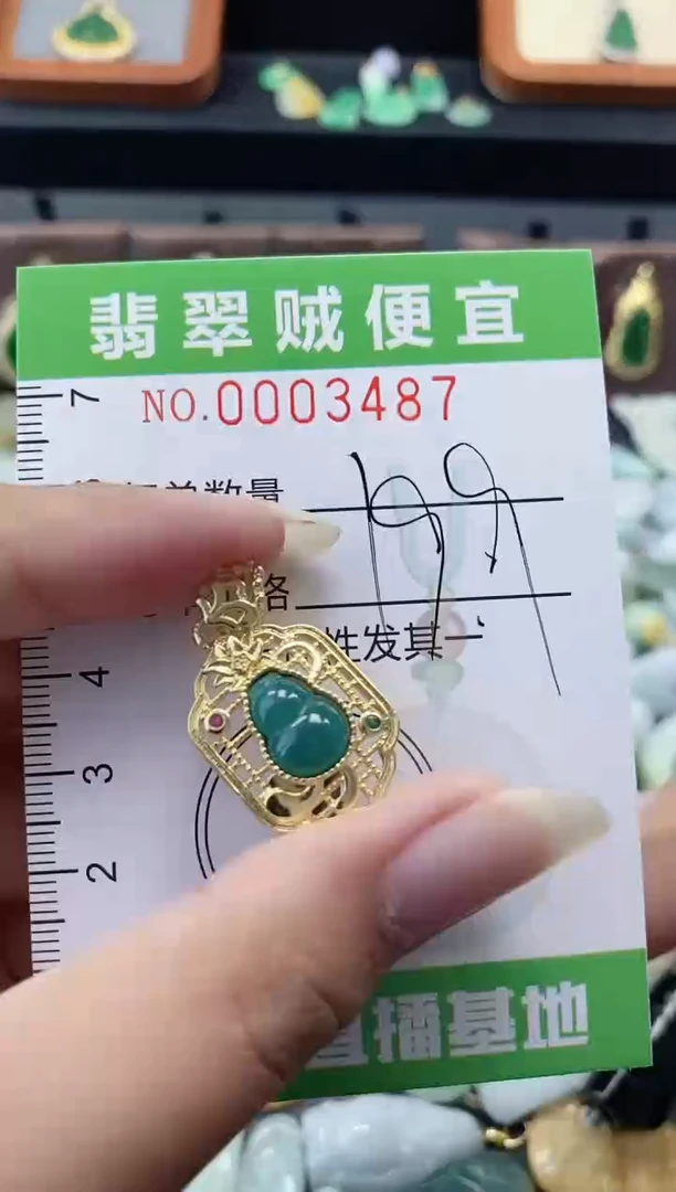 翡翠未镶嵌颈饰C闪购0003487