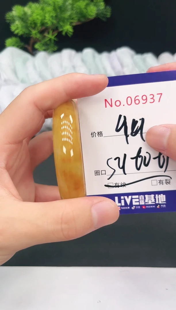 未镶嵌手镯翡翠06937