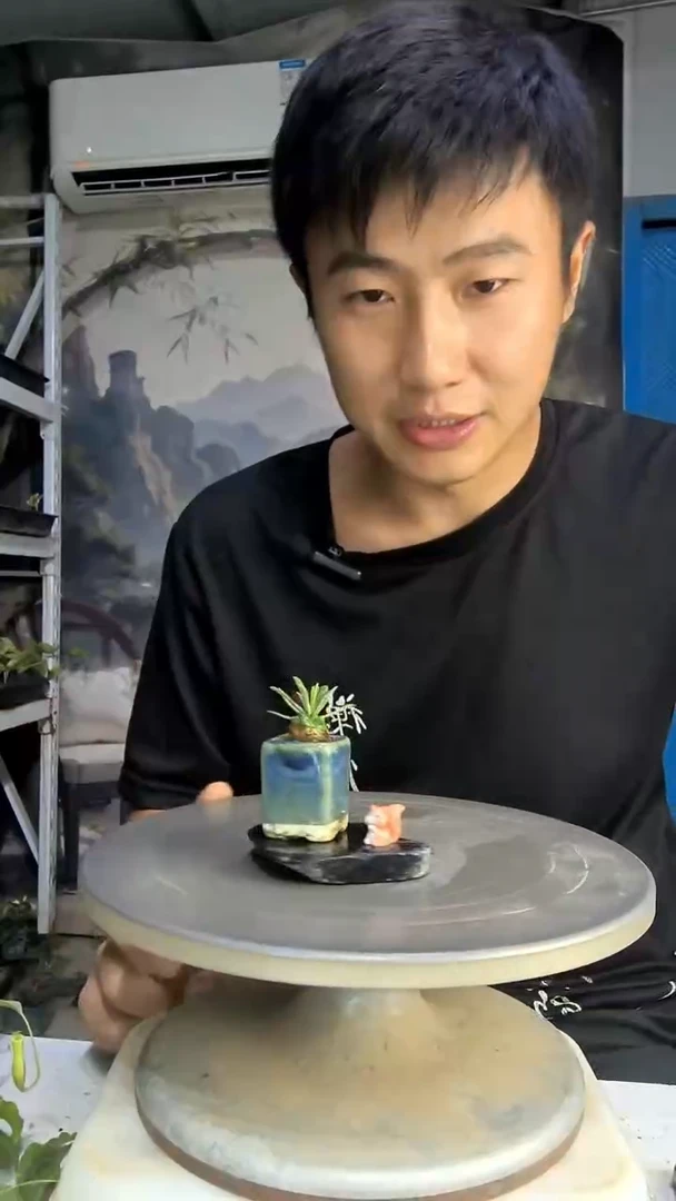 ?****?中青园艺一物一拍151