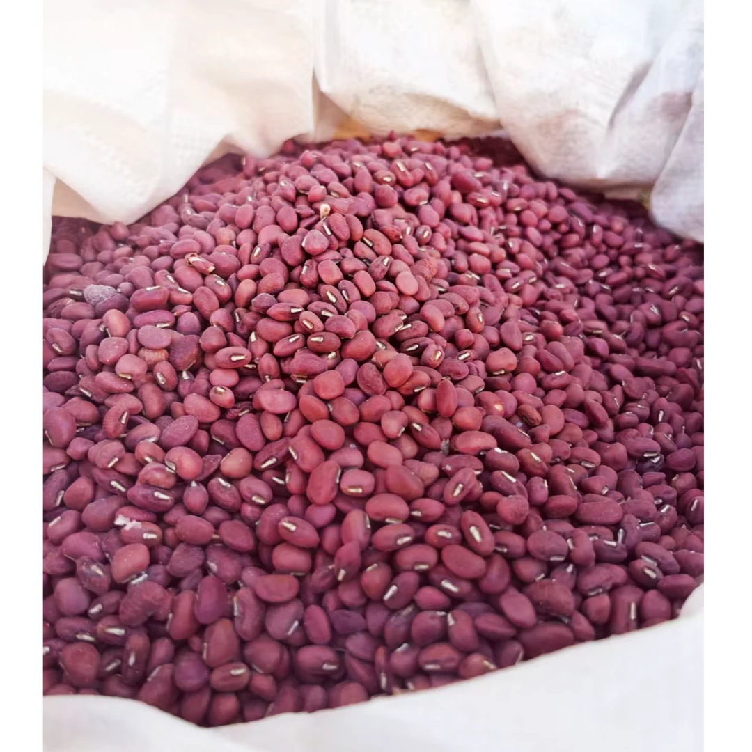 豇豆农家田埂种植天然无污染