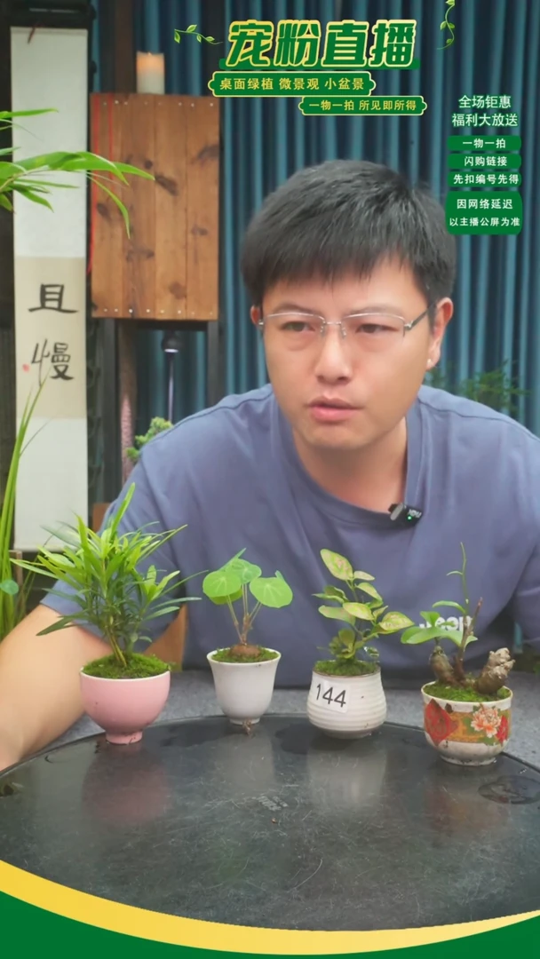 无花朵秋*苔藓微景观144号