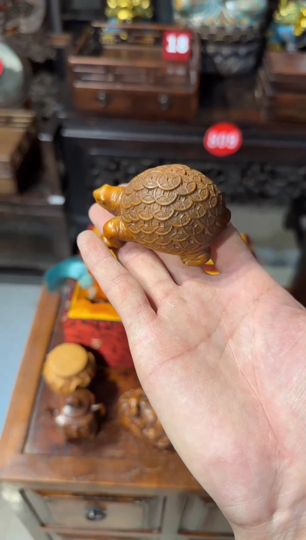 木木头款黄杨金钱龟68