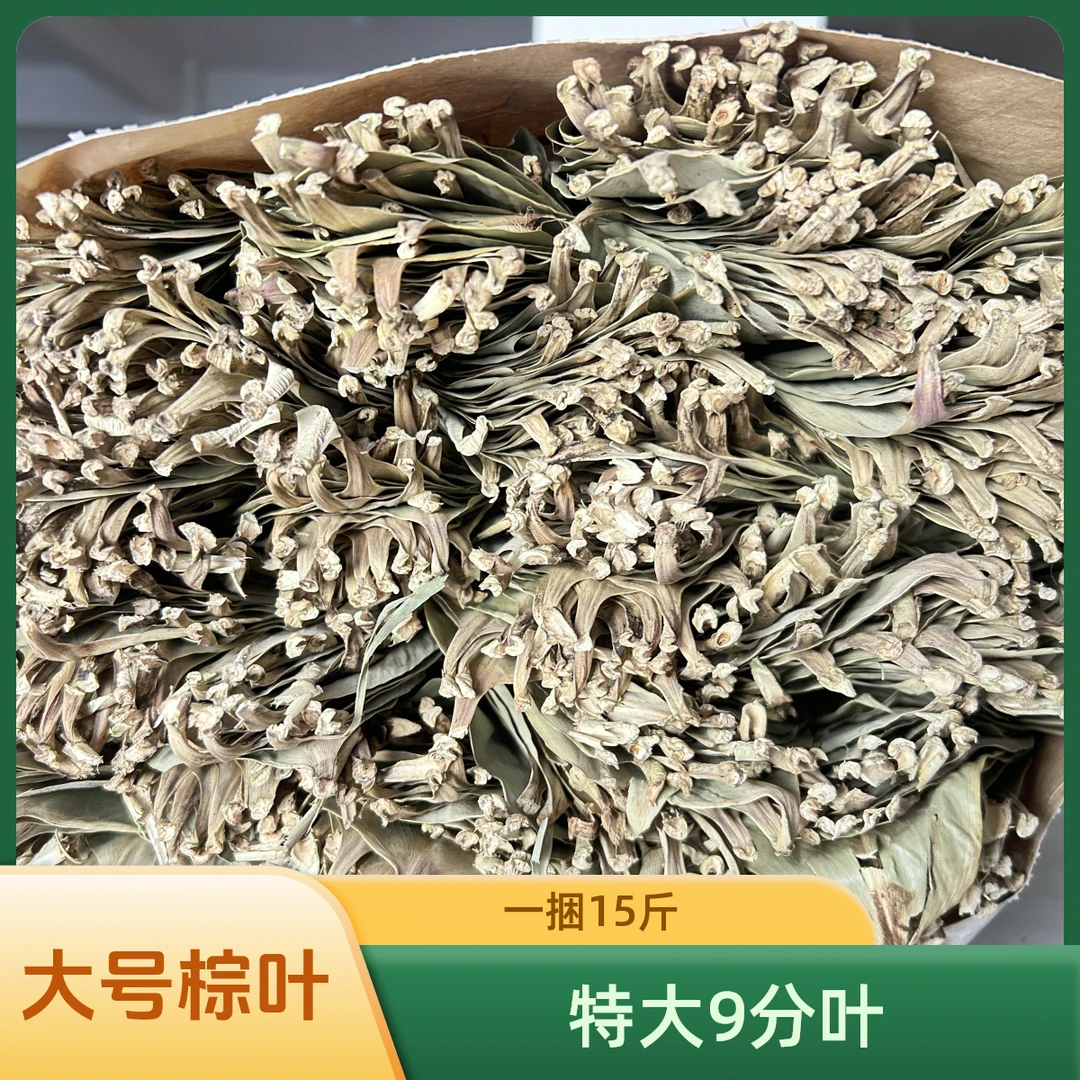 干粽叶大号特大码粽子叶免邮箬竹叶新鲜家用包粽子端午商用大棕叶