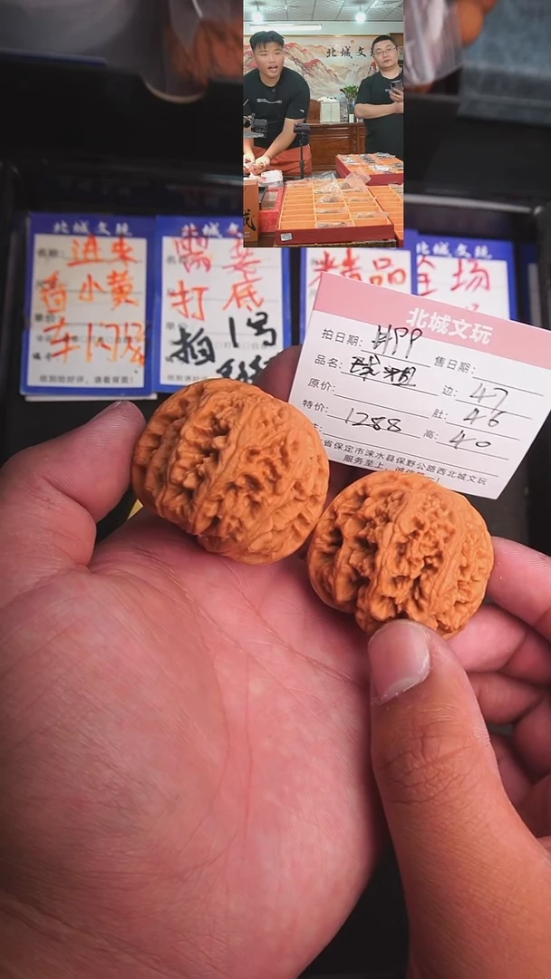 文玩核桃把件111号47大粗筋（收藏）