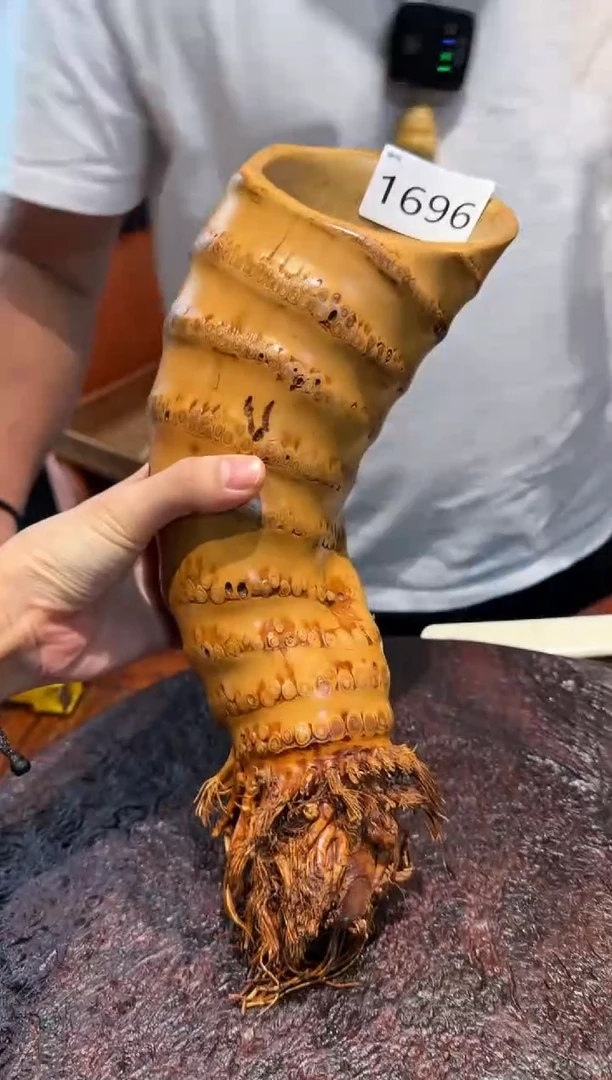 【闪购商品】竹1696竹根竹根竹根竹根
