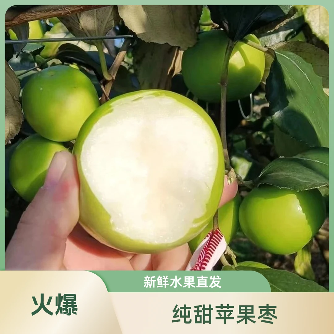 纯甜苹果枣云南苹果枣糖斑果新鲜水果当季水果孕妇水果果园直发