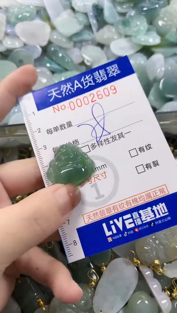 颈饰未镶嵌翡翠天然A货翡翠