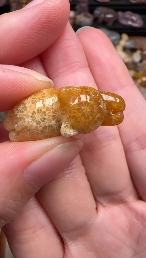 颈饰未镶嵌硅化珊瑚（珊瑚玉）817