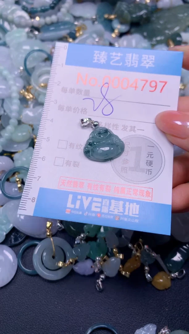 颈饰未镶嵌翡翠4797