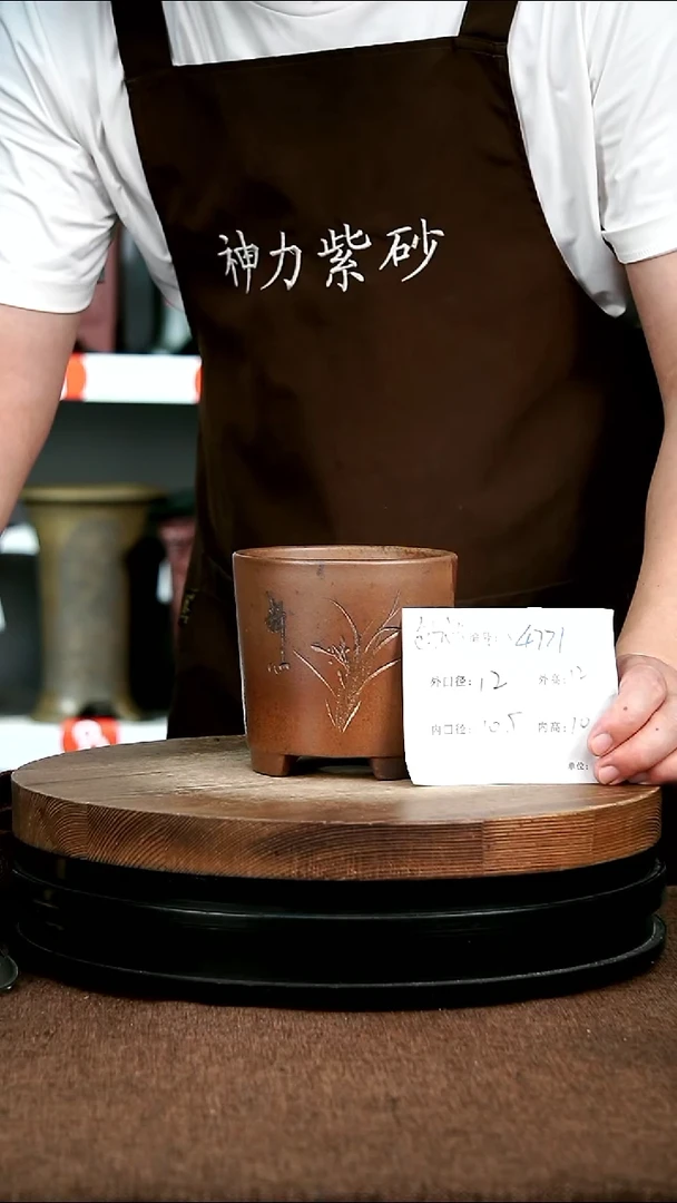 紫砂花盆花卉园艺4771