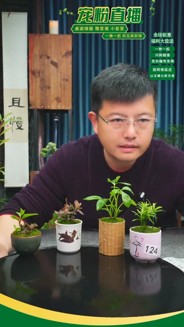 无花朵敏*苔藓微景观124号