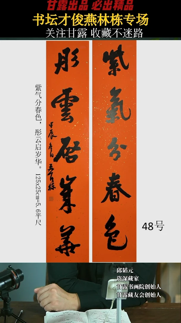 【闪购商品】书法燕林栋48号1533甘露美术馆