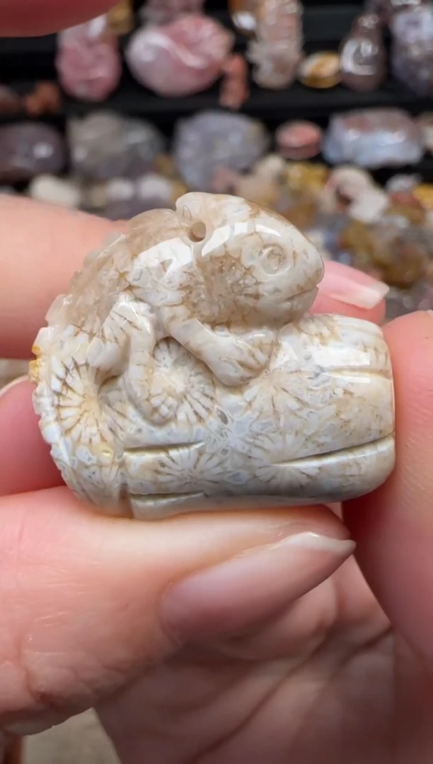 颈饰未镶嵌硅化珊瑚（珊瑚玉）059