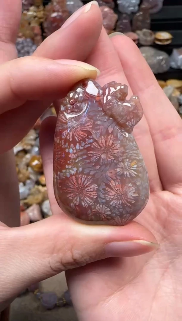 颈饰未镶嵌硅化珊瑚（珊瑚玉）137