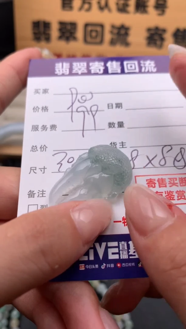 翡翠未镶嵌颈饰10133874