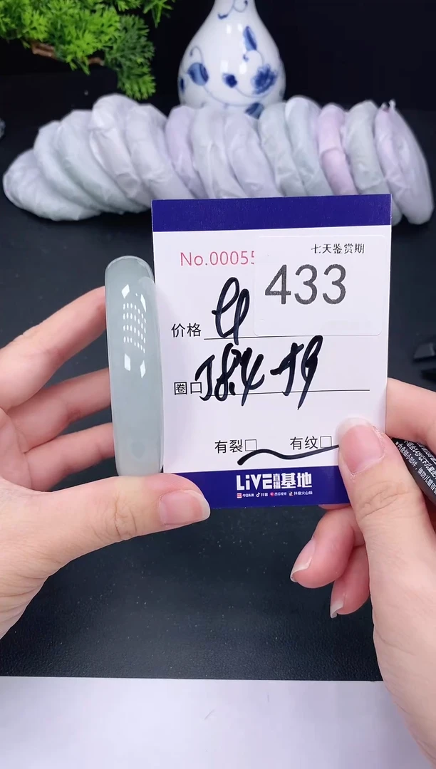 未镶嵌手镯翡翠433