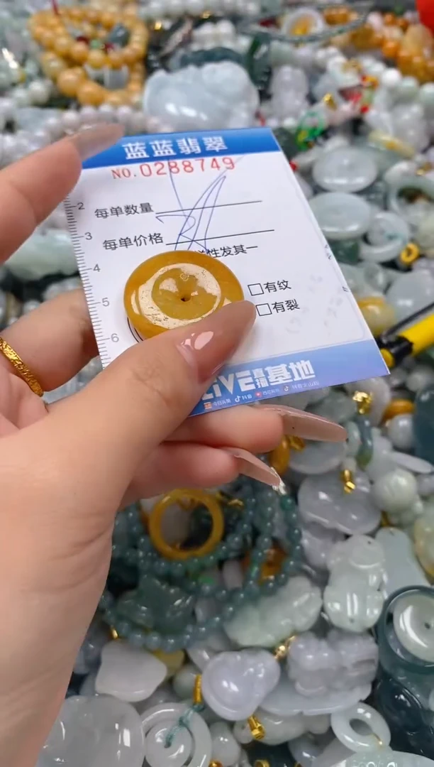 翡翠未镶嵌颈饰闪购0288749