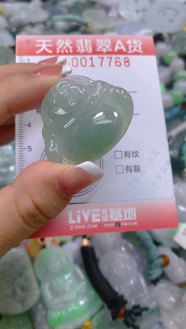 翡翠未镶嵌颈饰闪购0017768