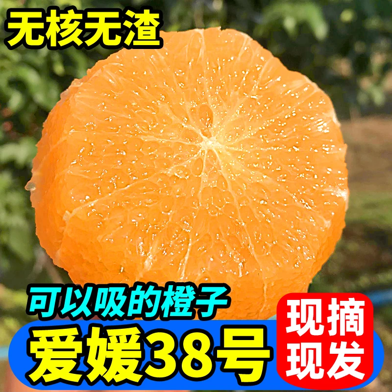 四川眉山爱媛38号果冻橙新鲜现摘应季水果无籽无渣汁水充足