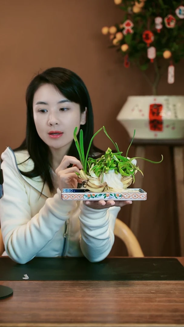 【闪购商品】盆景雕刻水仙