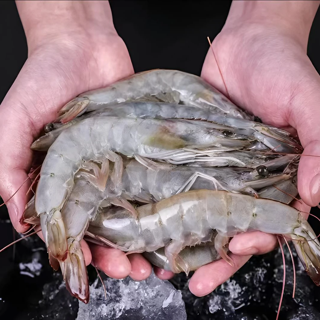 海洋大虾 5060规格 鲜活速冻 肉质鲜甜 净重3斤 顺丰