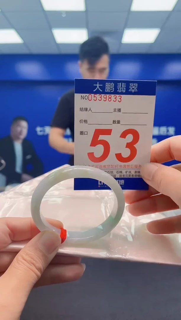未镶嵌手镯翡翠AAAAAAAAA