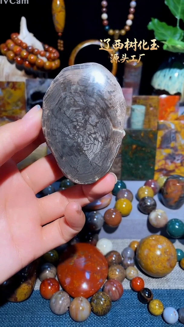 未镶嵌-硅化玉天然北票硅化玉原石