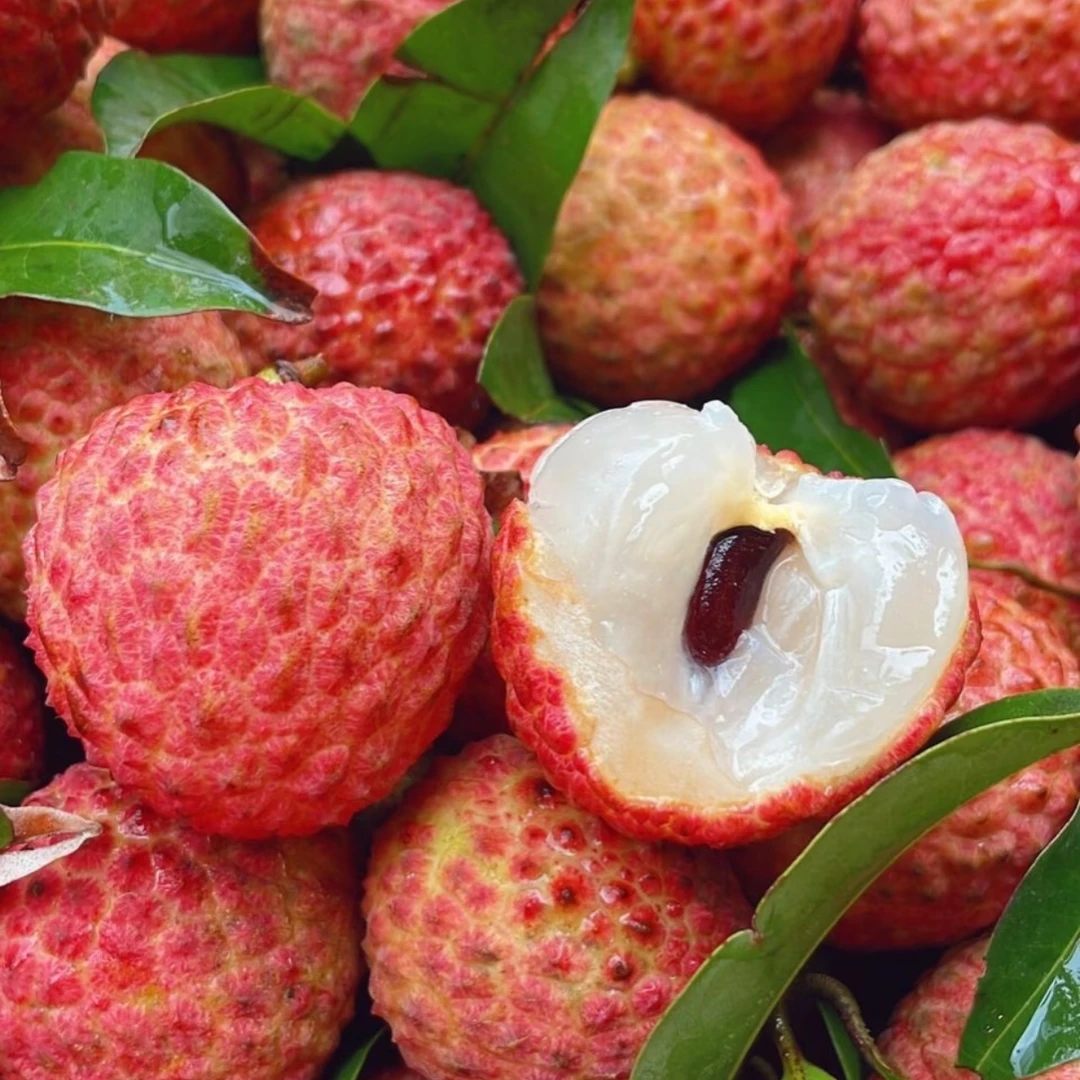 广东茂名高州糯米糍荔枝果园直发新鲜荔枝孕妇水果礼盒批发顺丰