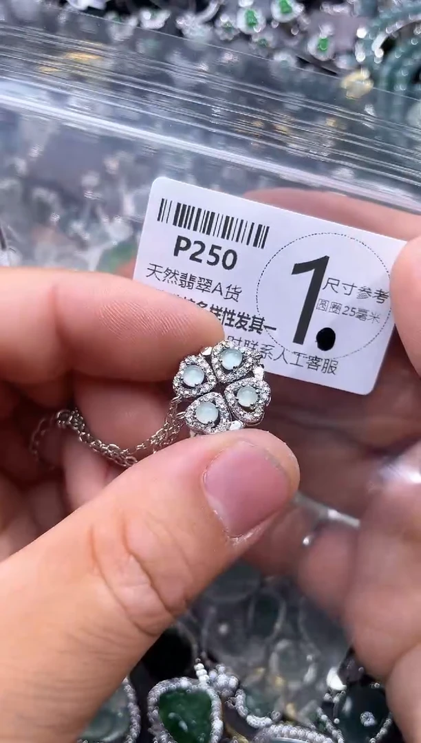 【闪购商品】翡翠颈饰未镶嵌P250项链