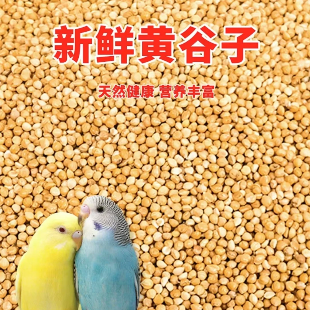 鹦鹉饲料鸟粮新黄谷子带壳小米鹦鹉饲料玄凤牡丹专用鸟食饲料【1】