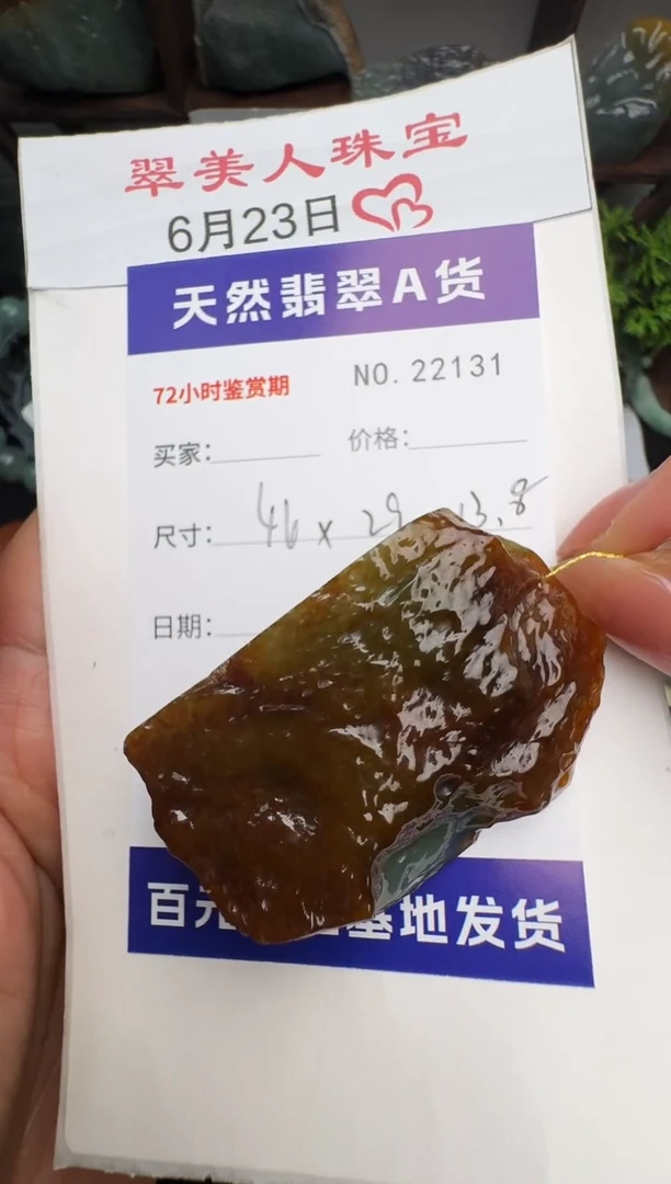 翡翠未镶嵌颈饰原石22131
