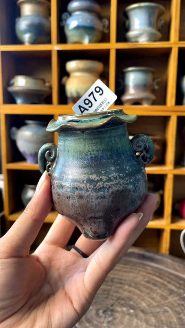 979【多肉花盆多肉盆】