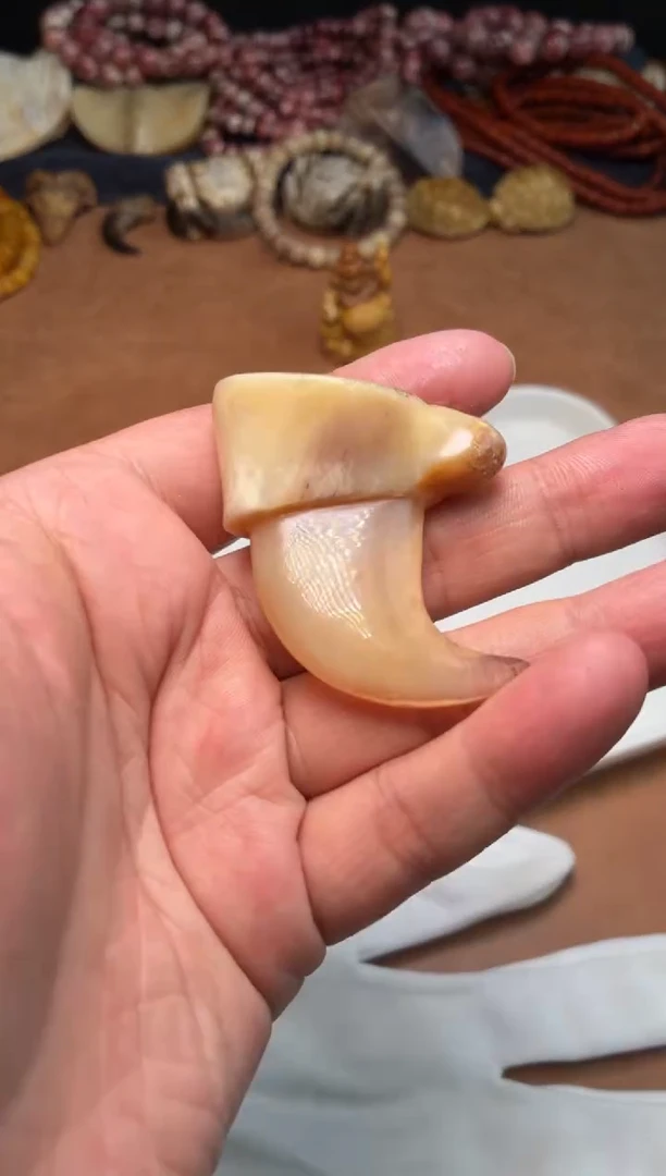 牛骨其他杂件609-工艺品牛骨钩子