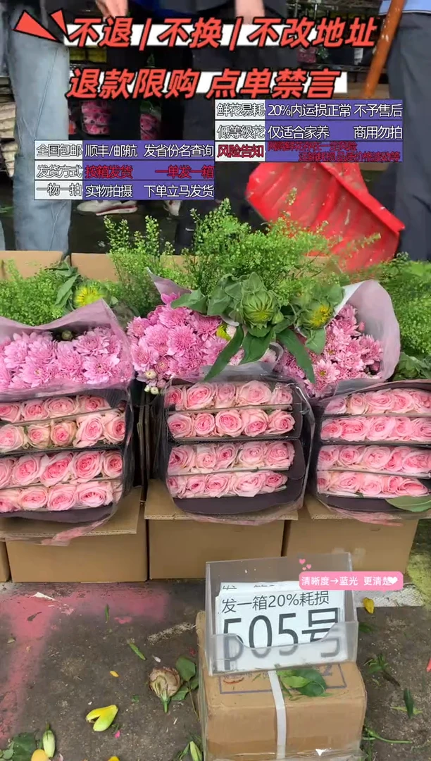 505号♥含20%耗损发一箱