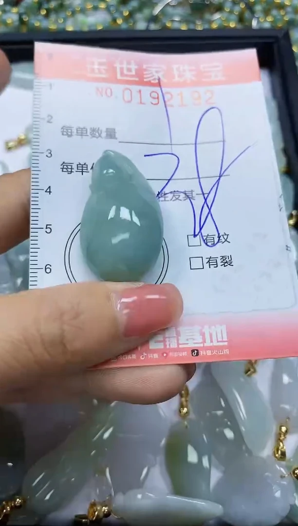 【闪购商品】翡翠颈饰未镶嵌闪购0192192