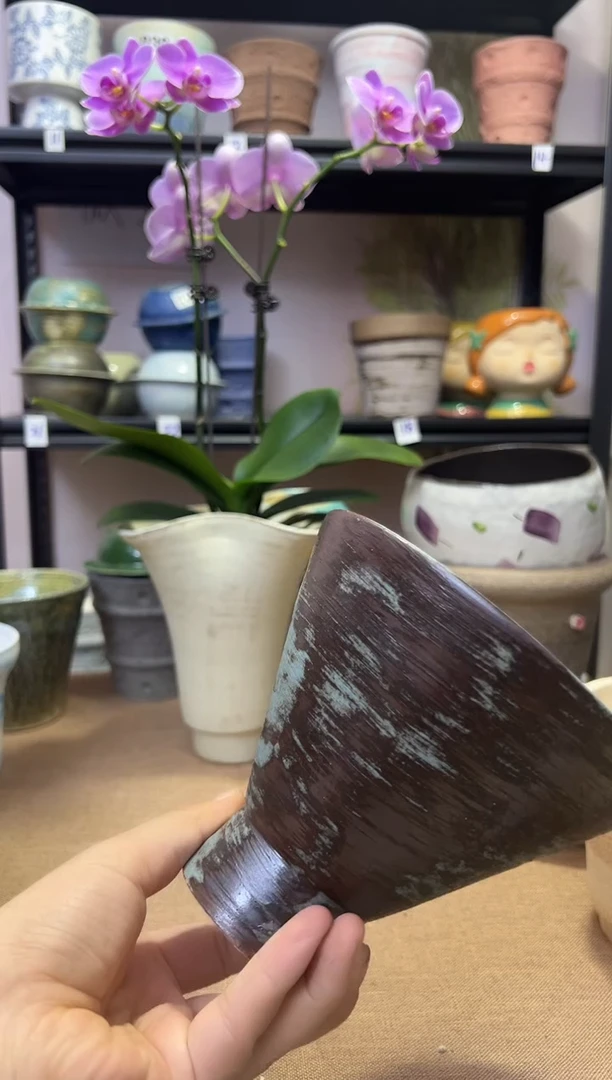 景德镇斗笠口15高13