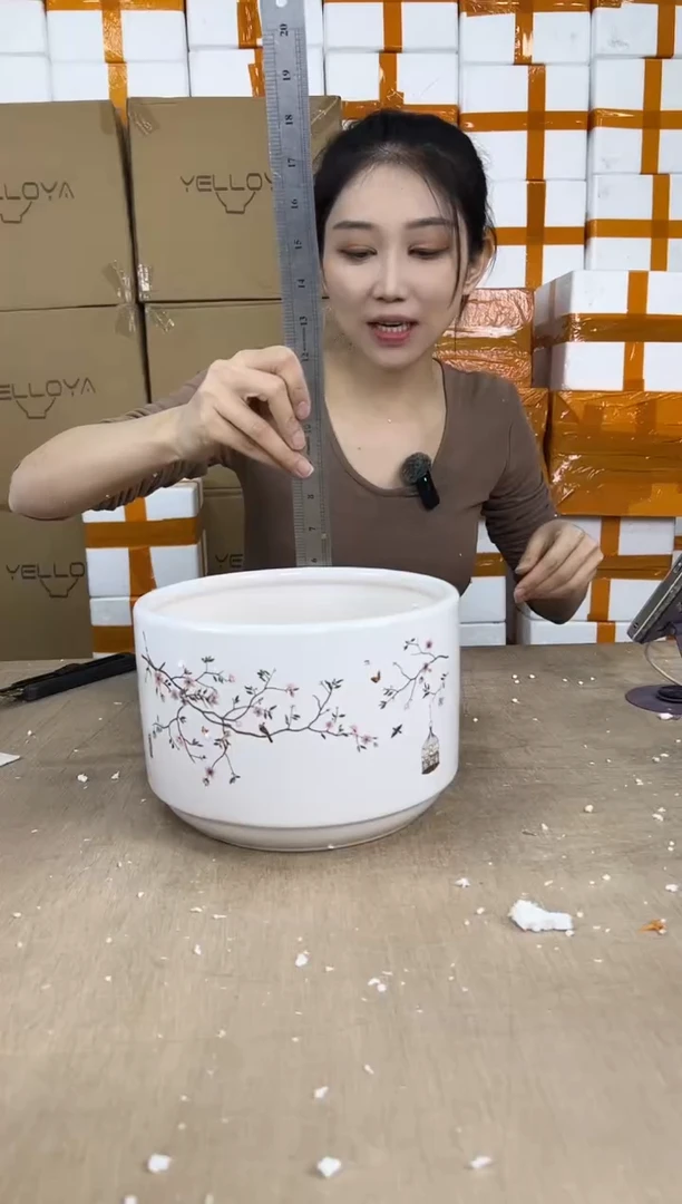 蝴蝶兰鸟笼白色中号21x15